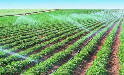 好想日逼视频农田高 效节水灌溉